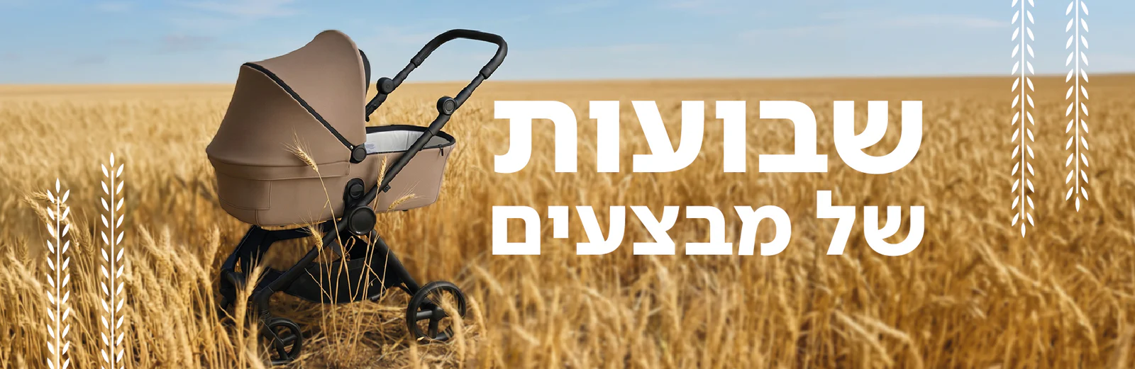 בייבי סטאר: מותגים מובילים לקטנטנים