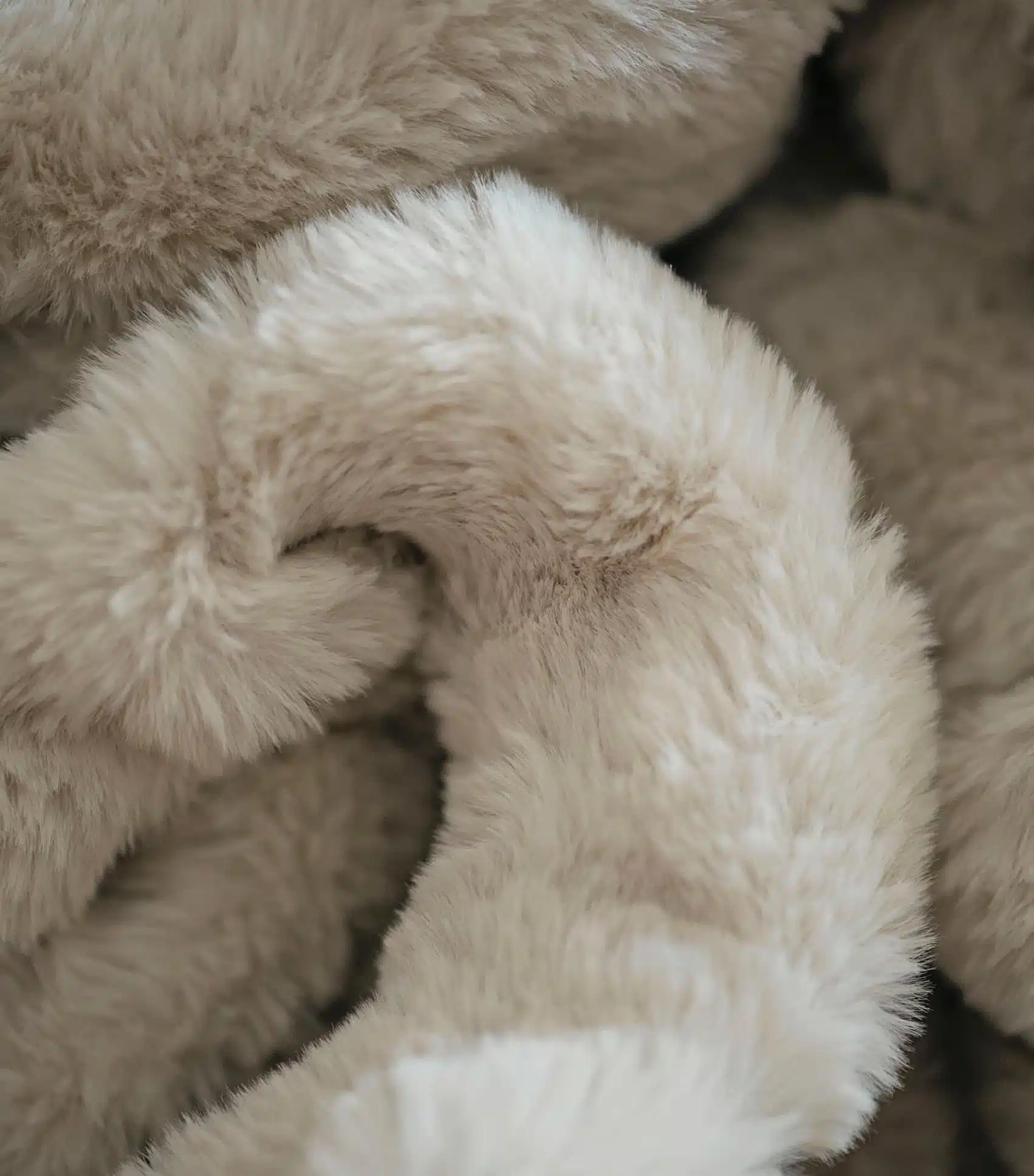 תמונת מוצר 14