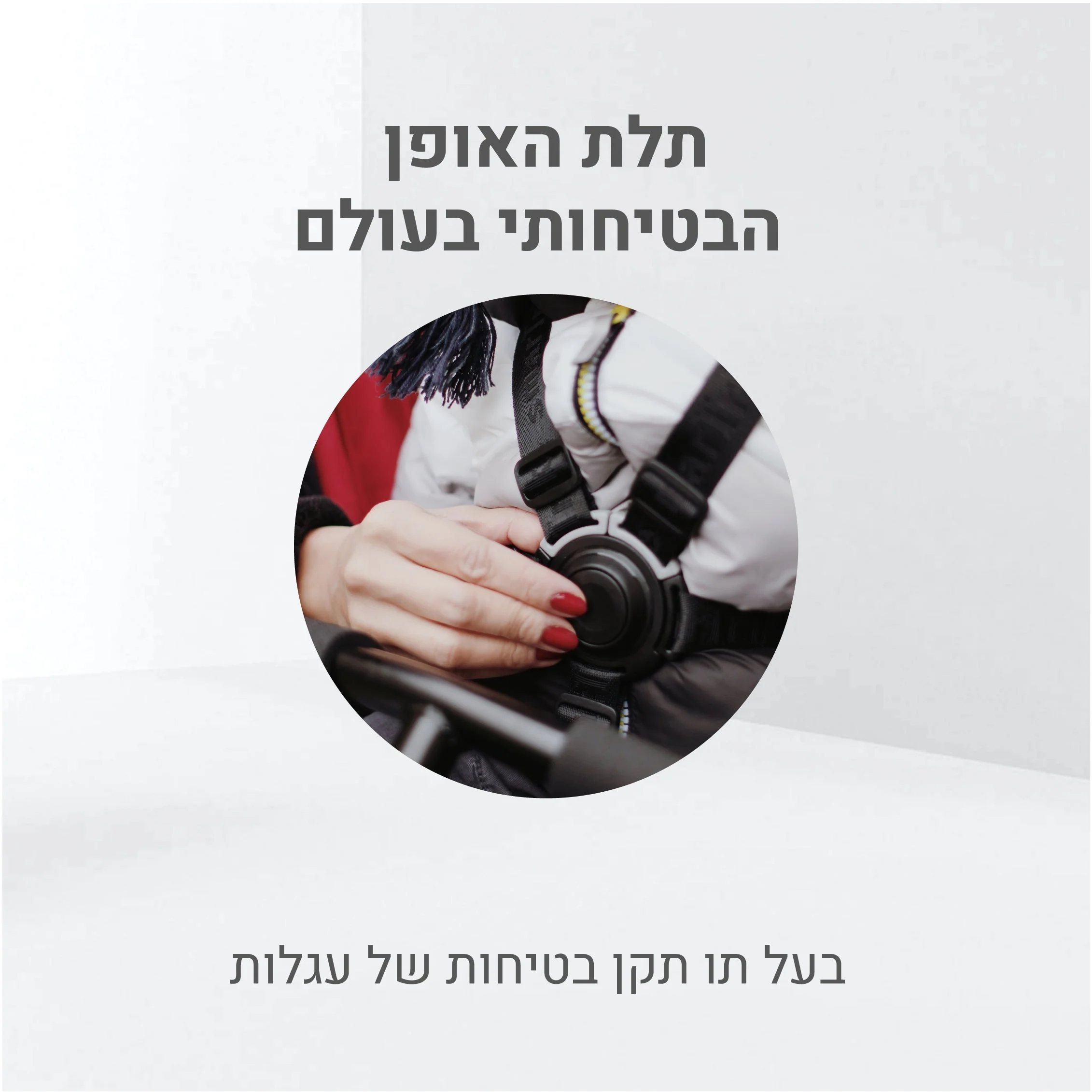 תמונת מוצר 5