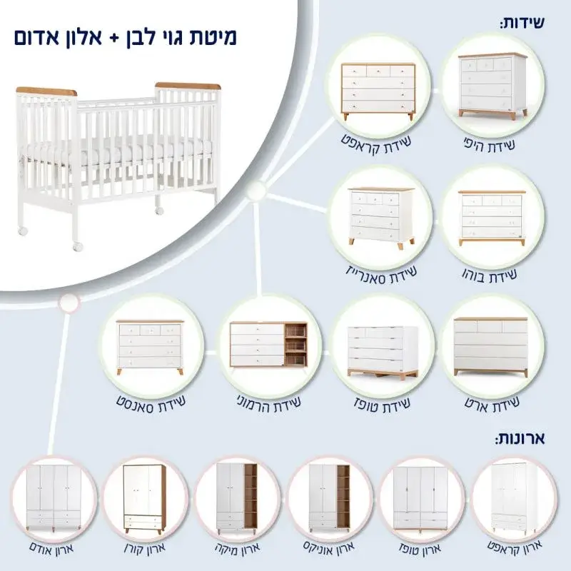 תמונת מוצר 5